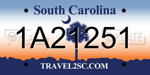 1A21251 South Carolina License Plate