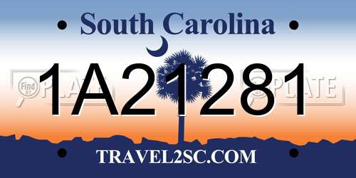 1A21281 South Carolina License Plate