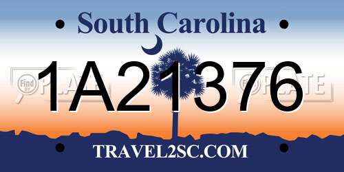 1A21376 South Carolina License Plate