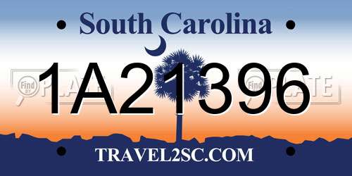 1A21396 South Carolina License Plate