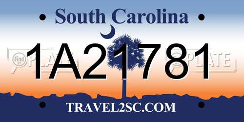 1A21781 South Carolina License Plate