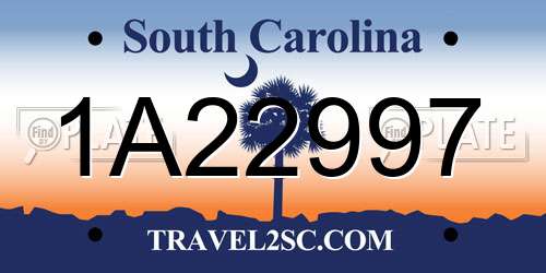 1A22997 South Carolina License Plate