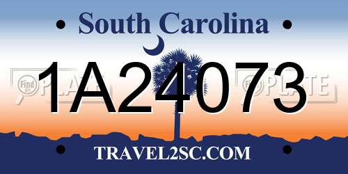 1A24073 South Carolina License Plate