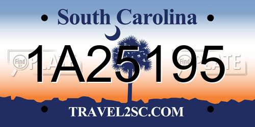 1A25195 South Carolina License Plate