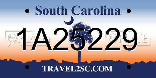 1A25229 South Carolina License Plate