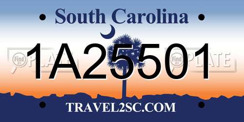 1A25501 South Carolina License Plate