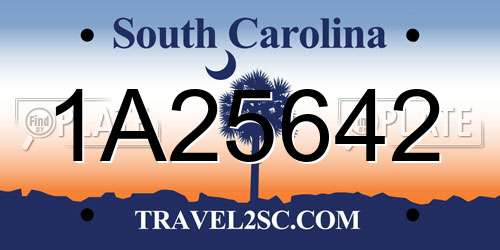 1A25642 South Carolina License Plate