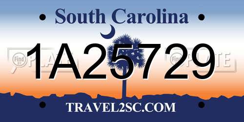 1A25729 South Carolina License Plate