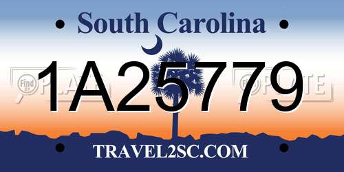 1A25779 South Carolina License Plate