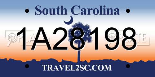 1A28198 South Carolina License Plate