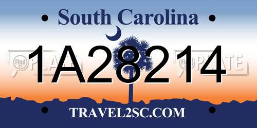 1A28214 South Carolina License Plate