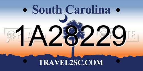 1A28229 South Carolina License Plate