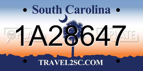 1A28647 South Carolina License Plate