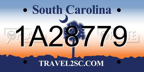 1A28779 South Carolina License Plate