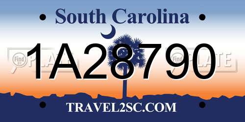 1A28790 South Carolina License Plate