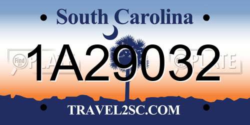 1A29032 South Carolina License Plate