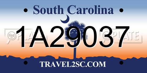 1A29037 South Carolina License Plate