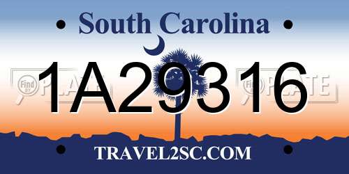 1A29316 South Carolina License Plate