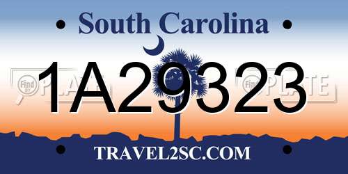 1A29323 South Carolina License Plate