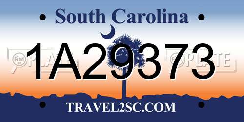 1A29373 South Carolina License Plate