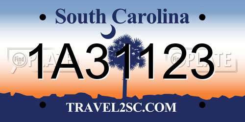 1A31123 South Carolina License Plate