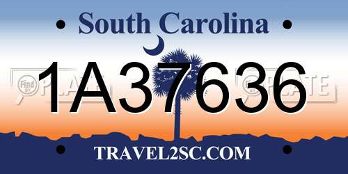 1A37636 South Carolina License Plate