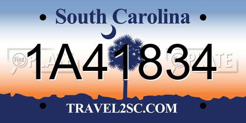 1A41834 South Carolina License Plate