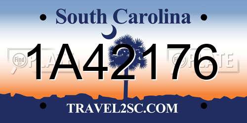 1A42176 South Carolina License Plate