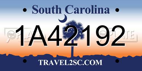 1A42192 South Carolina License Plate