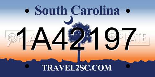 1A42197 South Carolina License Plate