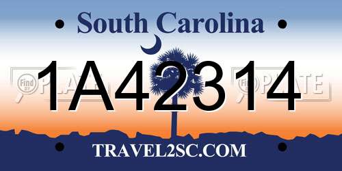1A42314 South Carolina License Plate