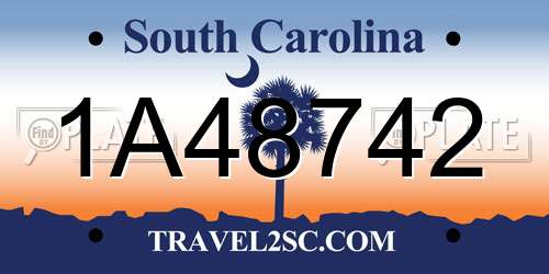 1A48742 South Carolina License Plate