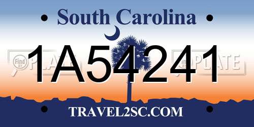 1A54241 South Carolina License Plate