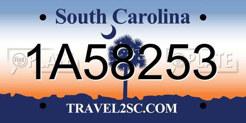 1A58253 South Carolina License Plate