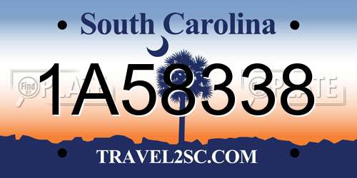 1A58338 South Carolina License Plate