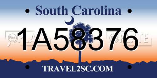 1A58376 South Carolina License Plate