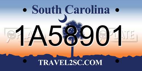 1A58901 South Carolina License Plate