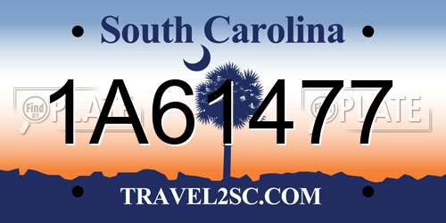 1A61477 South Carolina License Plate