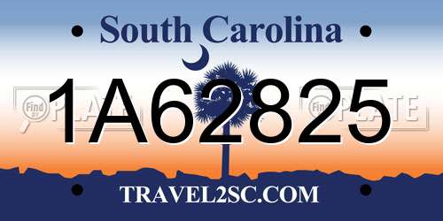 1A62825 South Carolina License Plate