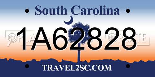 1A62828 South Carolina License Plate