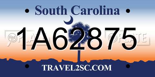1A62875 South Carolina License Plate