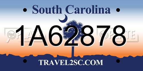 1A62878 South Carolina License Plate