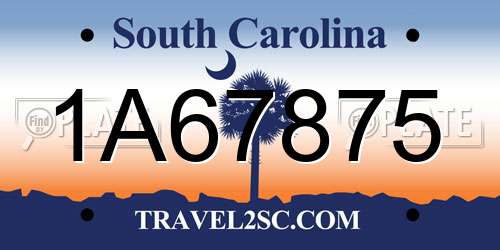 1A67875 South Carolina License Plate