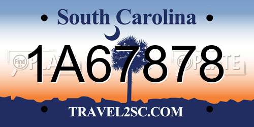 1A67878 South Carolina License Plate