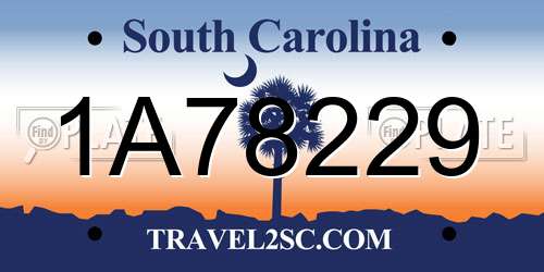 1A78229 South Carolina License Plate