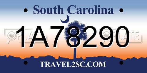 1A78290 South Carolina License Plate