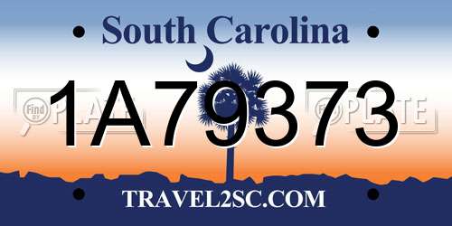 1A79373 South Carolina License Plate
