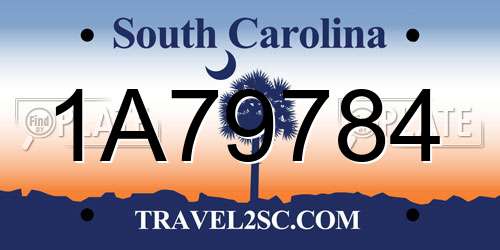 1A79784 South Carolina License Plate
