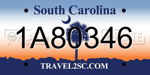1A80346 South Carolina License Plate