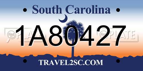 1A80427 South Carolina License Plate